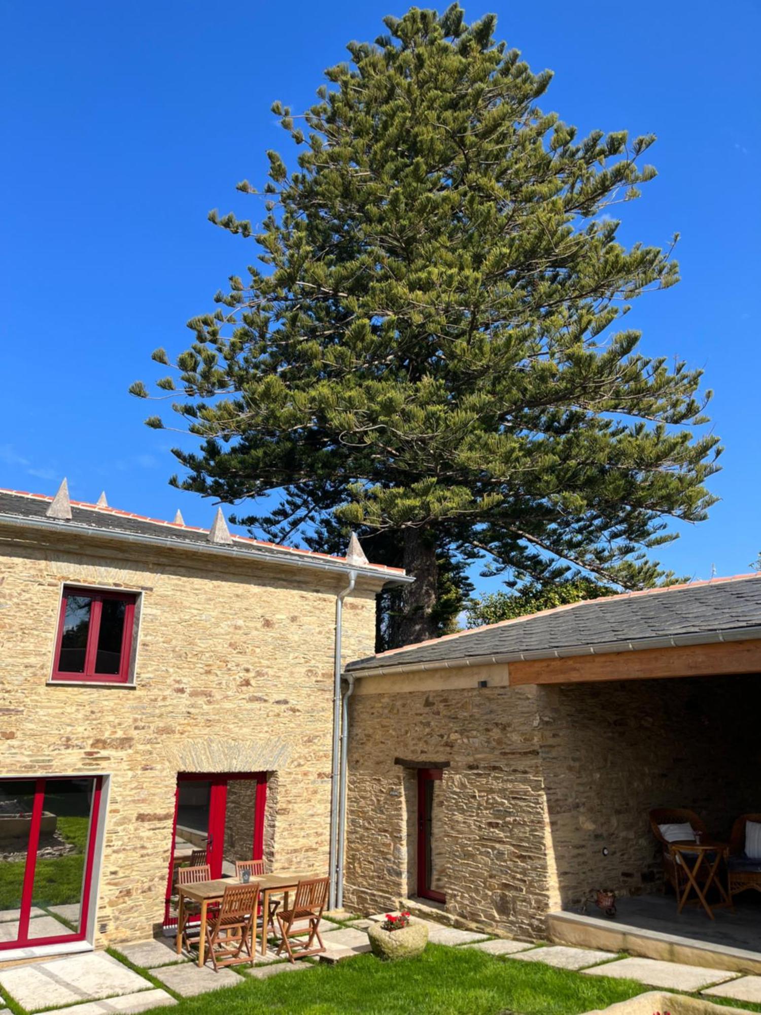 Araucaria House Konuk evi Barreiros Dış mekan fotoğraf