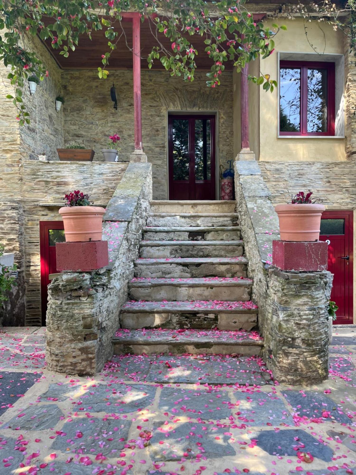 Araucaria House Konuk evi Barreiros Dış mekan fotoğraf