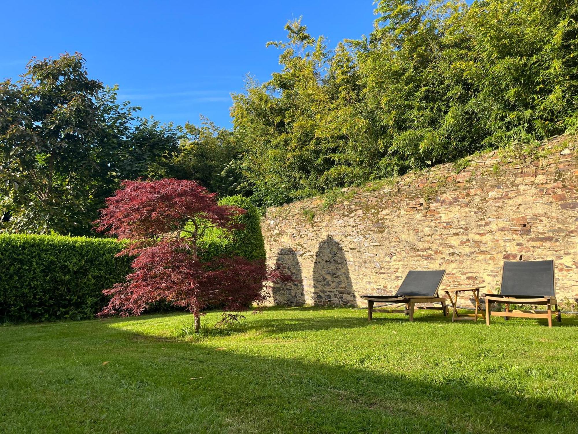 Araucaria House Konuk evi Barreiros Dış mekan fotoğraf